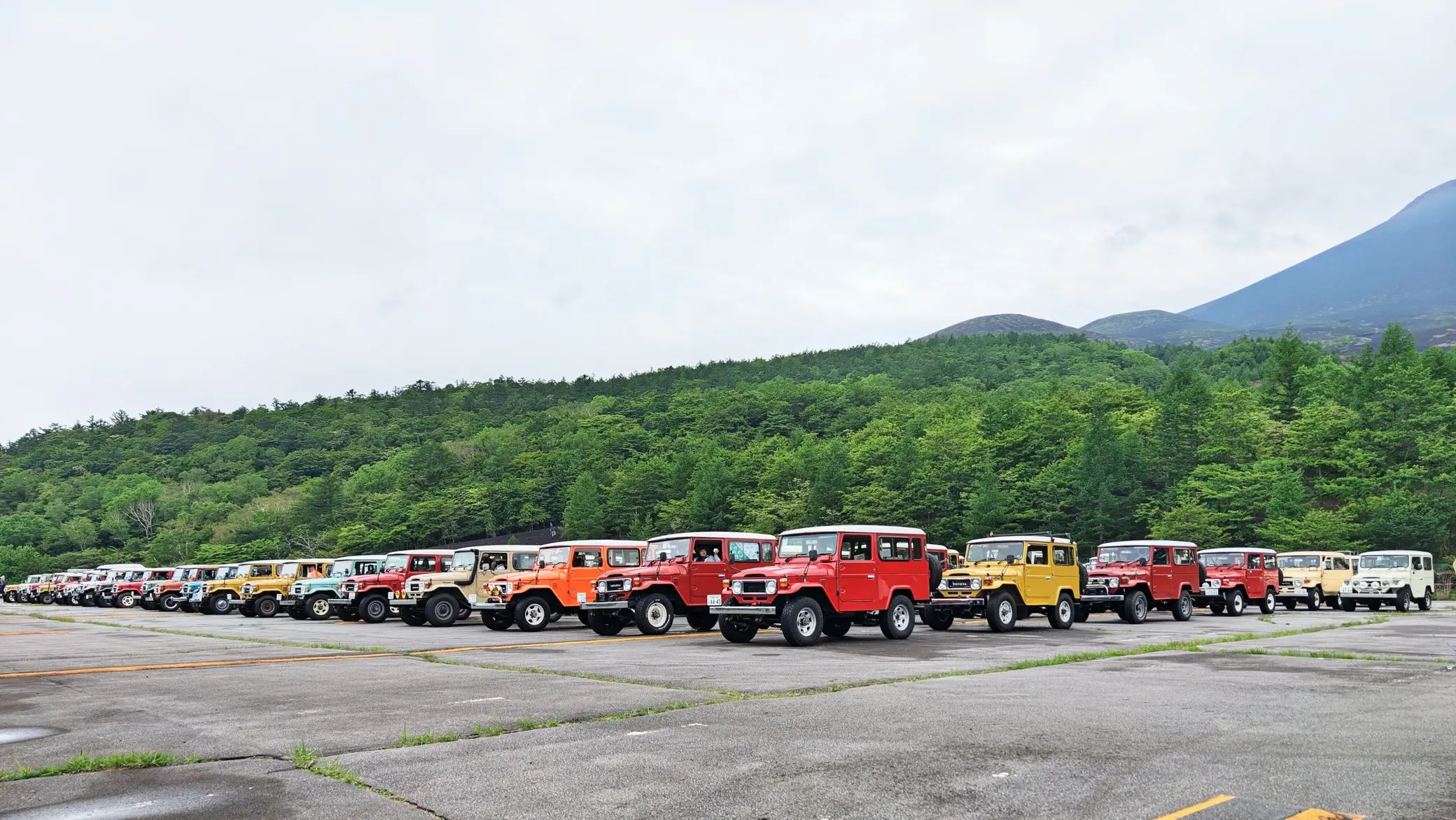 About 200 Land Cruiser 40s gathered