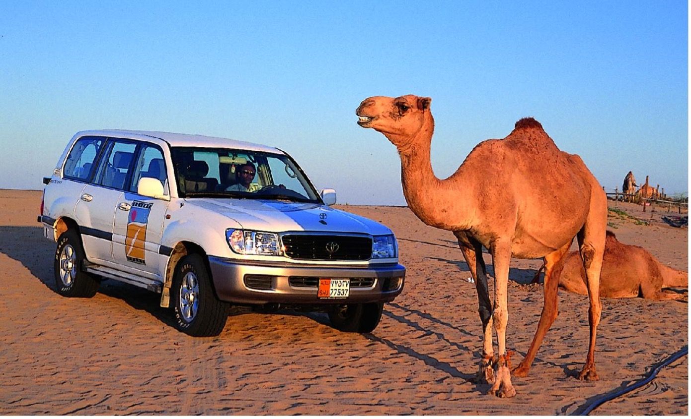 The Legend: Only a Land Cruiser or a Camel