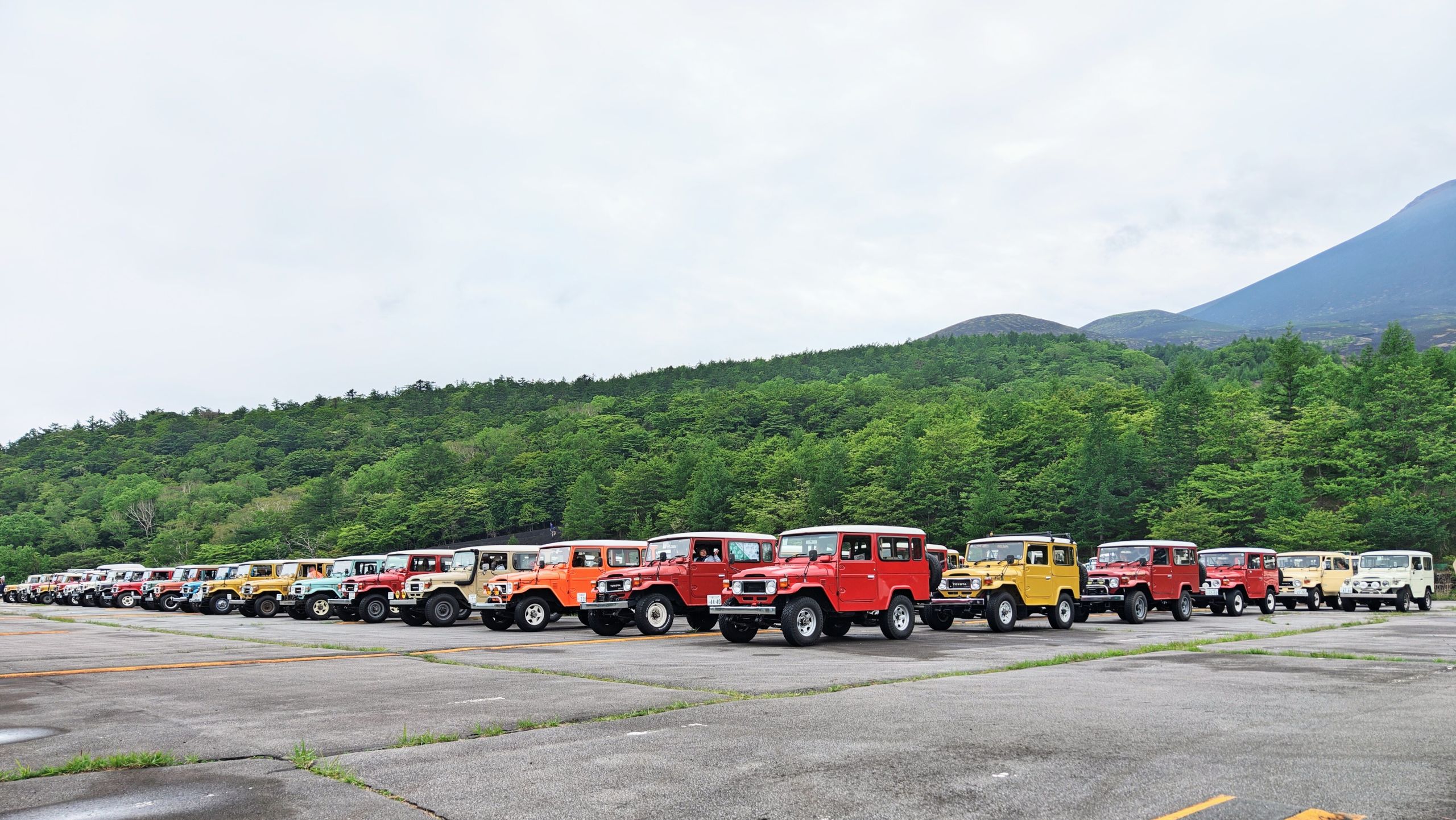About 200 Land Cruiser 40s gathered